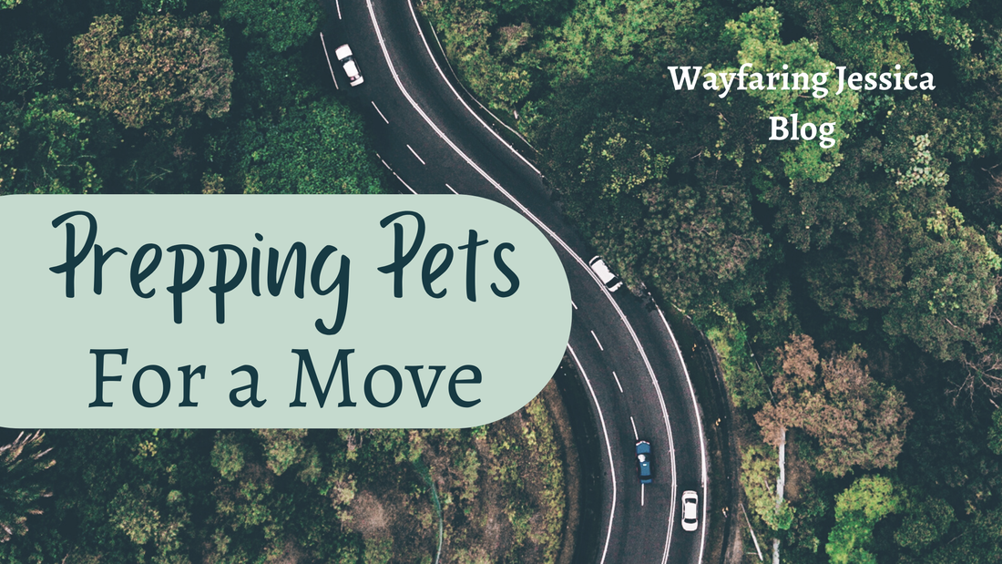how to move with pets